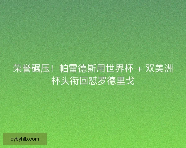 荣誉碾压！帕雷德斯用世界杯 + 双美洲杯头衔回怼罗德里戈